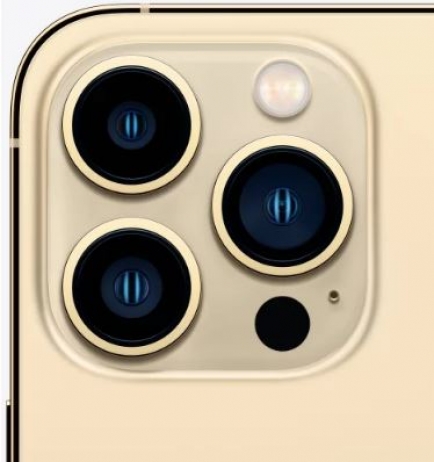 iPhone 13 Pro Max 1024 ГБ (Золотой)